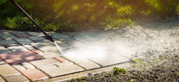 Best Animal Enclosure Cleaning  in Virginia Beach, VA